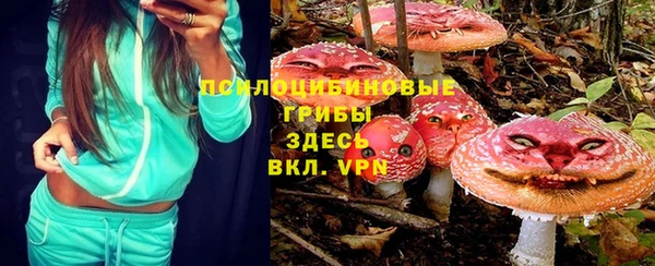 молекула духа Балахна