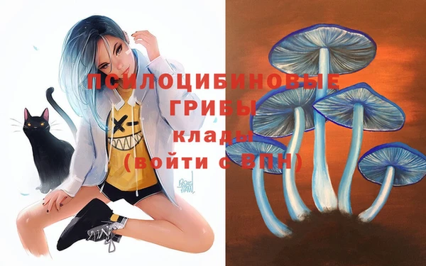 мескалин Арсеньев